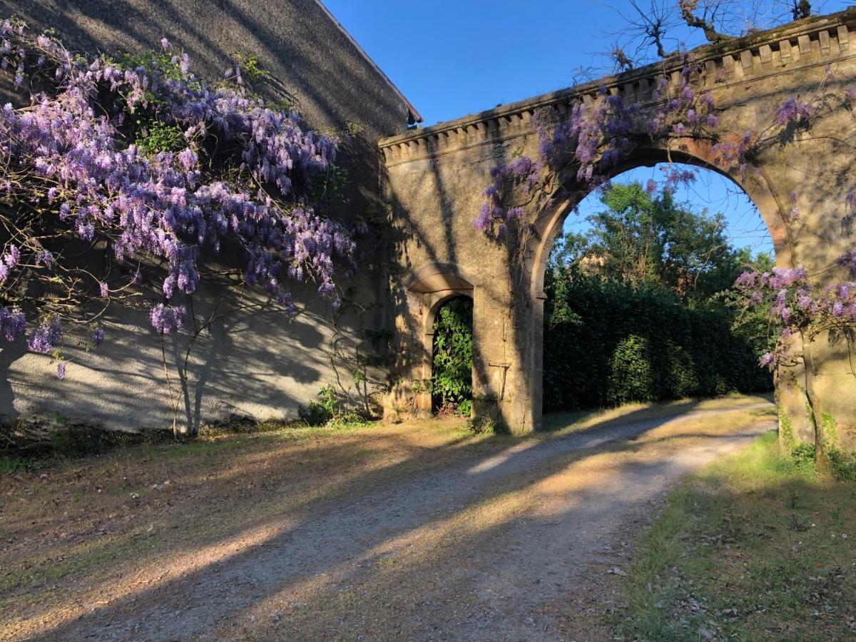 Château de la Mothe Saint-Sulpice-en-Pareds Exterior foto